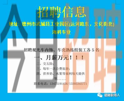 德州安然人才网最新招聘信息-“德州安然招聘资讯速递”