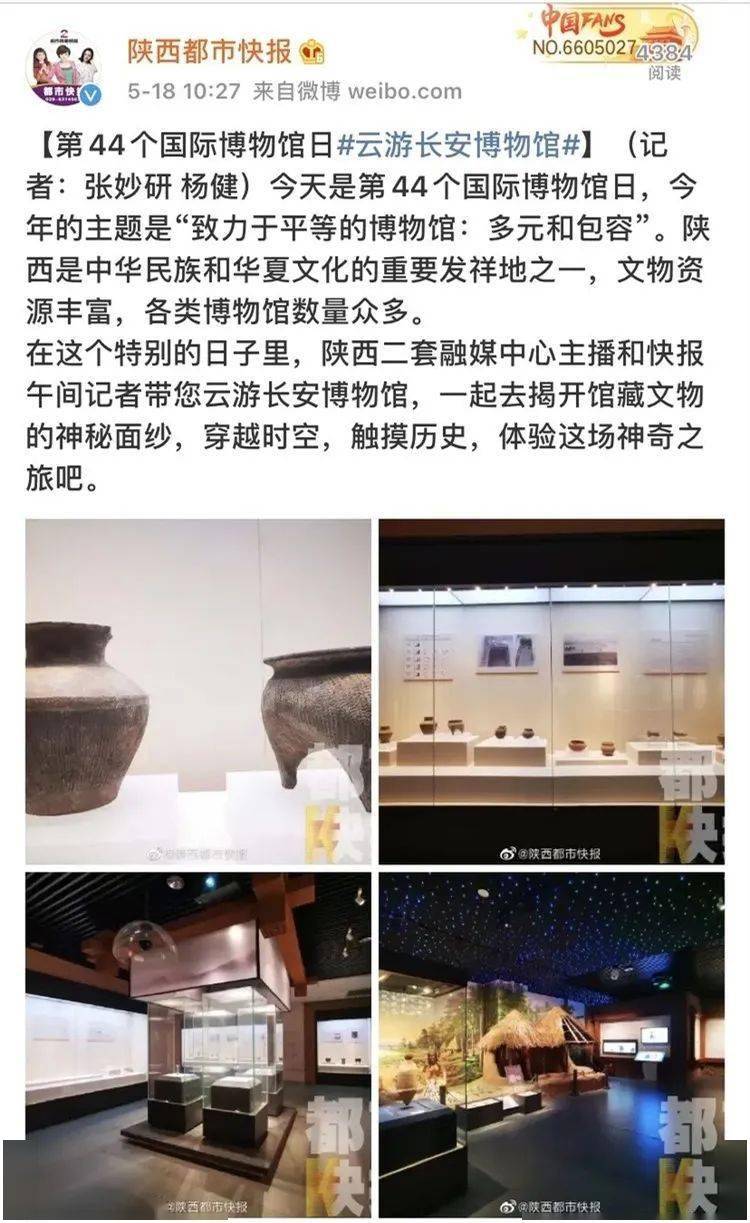 普法栏目剧最新集卧底，卧底行动：普法栏目剧新篇章