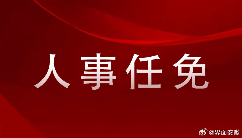 2024年12月25日 第21页