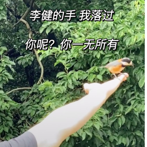 恰好心动 第2页