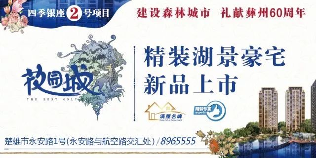 楚雄楼市动态速递