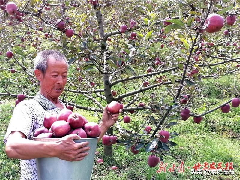 天水麦积区在售新房盘点