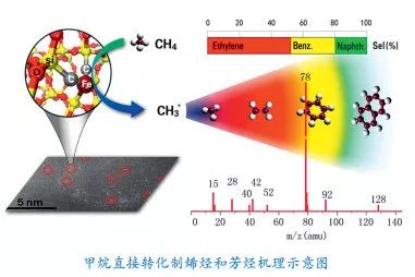 探究体温监测领域最新科研成果