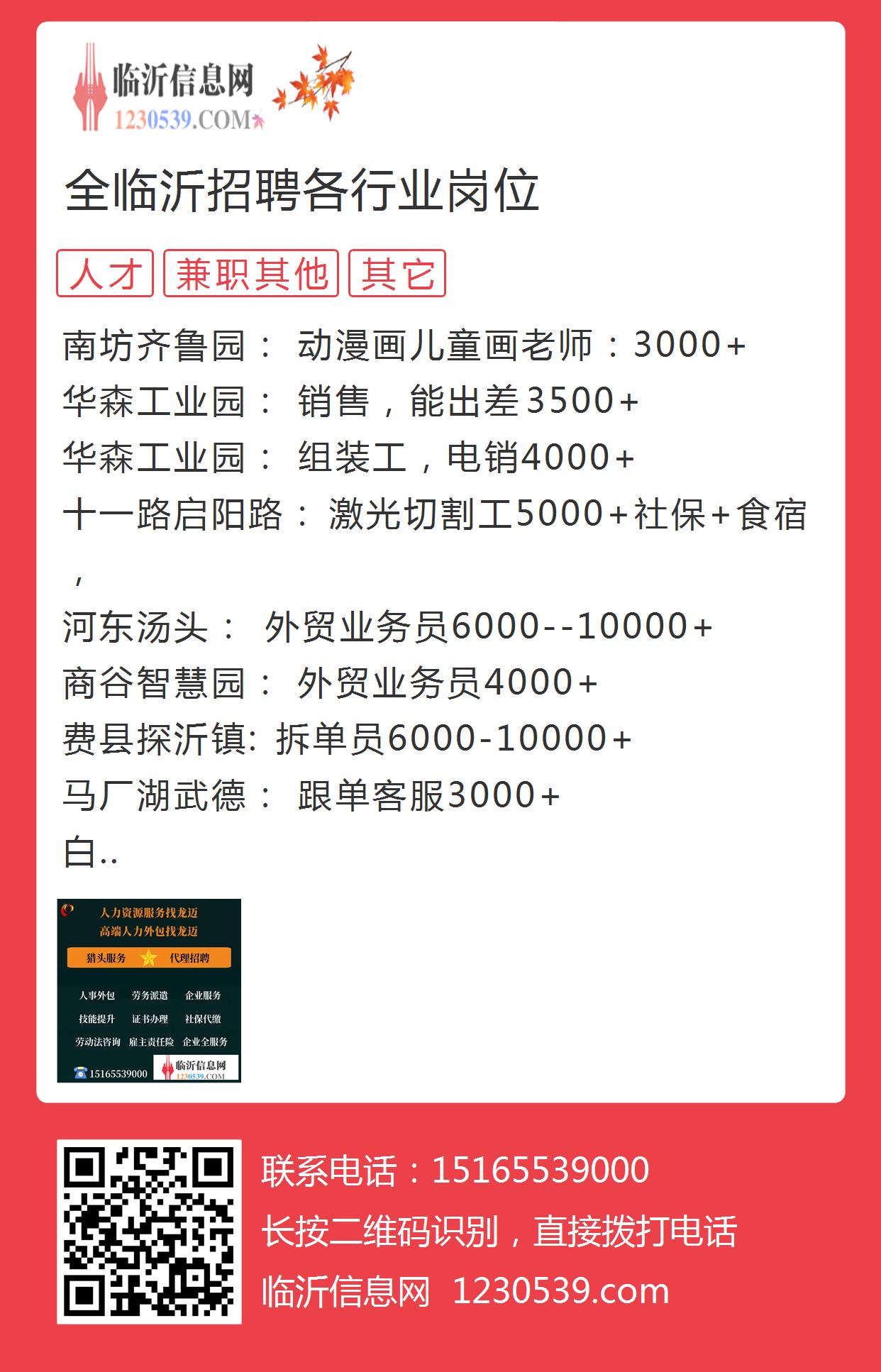 濮阳台前招聘新机遇，美好未来职等你来！