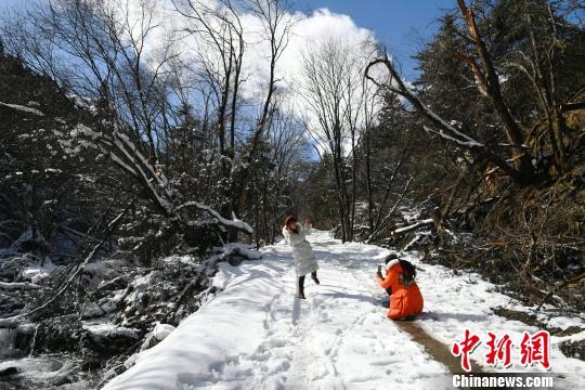 雪舞东北，美景如画——最新雪景资讯速递