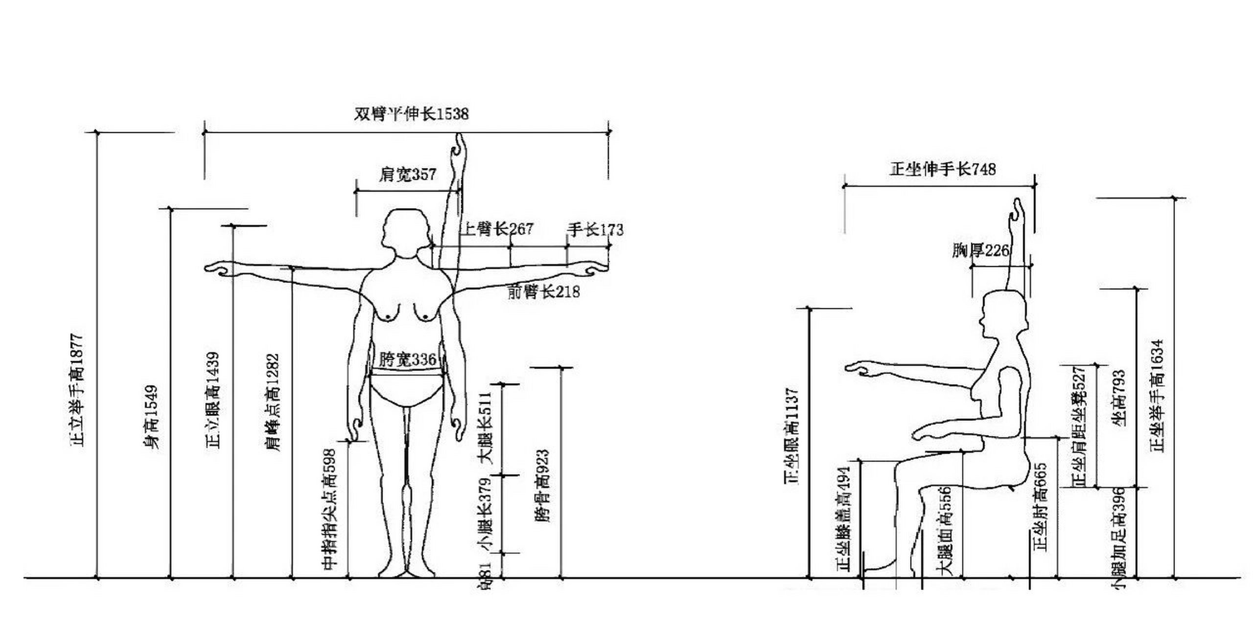 刷新尺度，共筑美好人体新标准