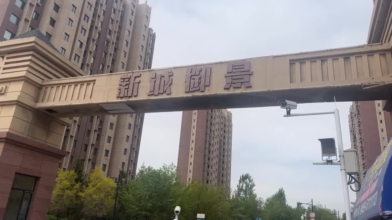 我同桌是怂比