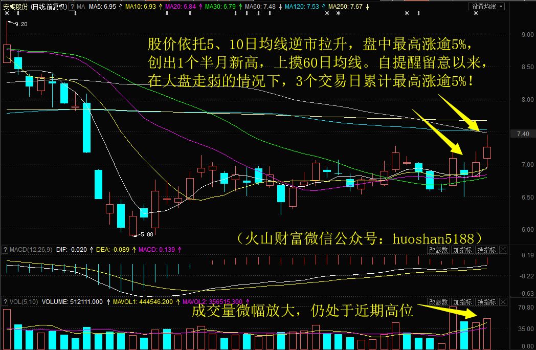 安妮股份最新动态揭晓