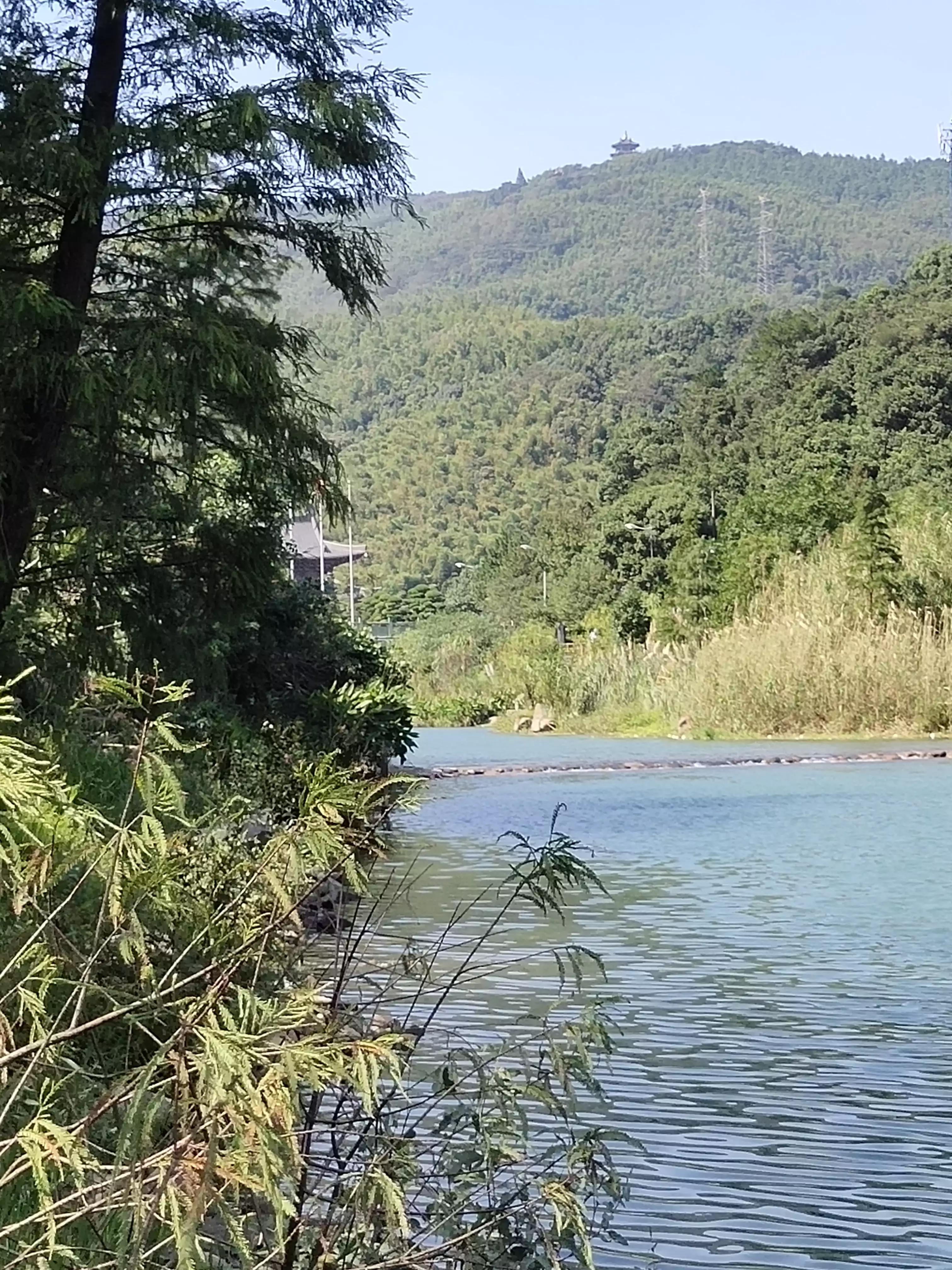 “宁波九龙湖动态资讯”