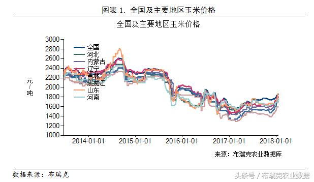 山东玉米市场价格动态（今日）