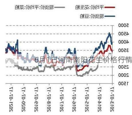 山东省最新花生米市场价格动态盘点